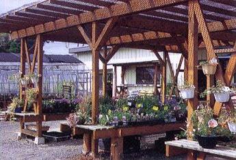 ���X�̗l�q