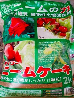 �j�[���P�[�L